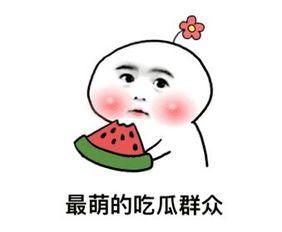 娱乐圈吃瓜大集合824pdf,揭秘幕后真相与明星众生相  第3张